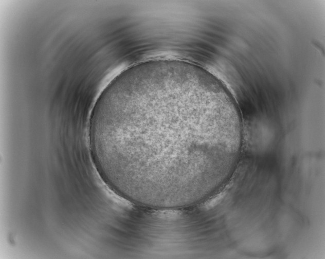 X0000097761090200803211709