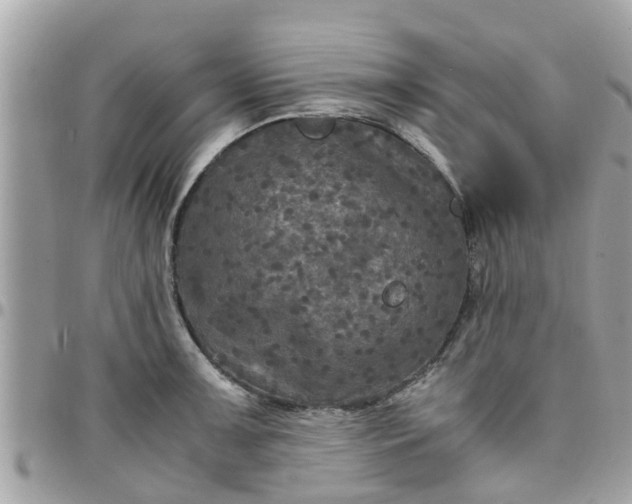 X0000097761091200803211709