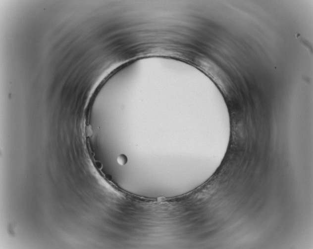 X0000097761092200803211709