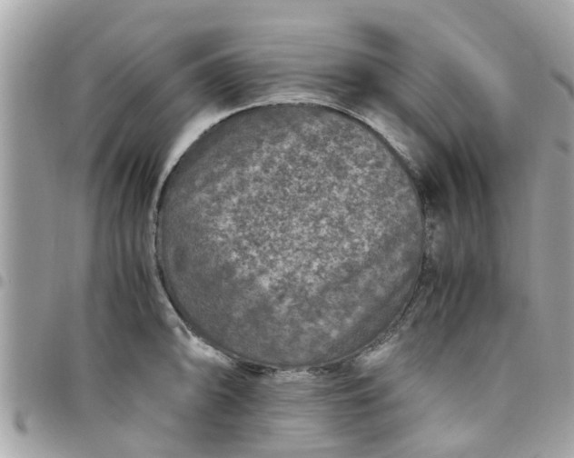 X0000097761094200803211709