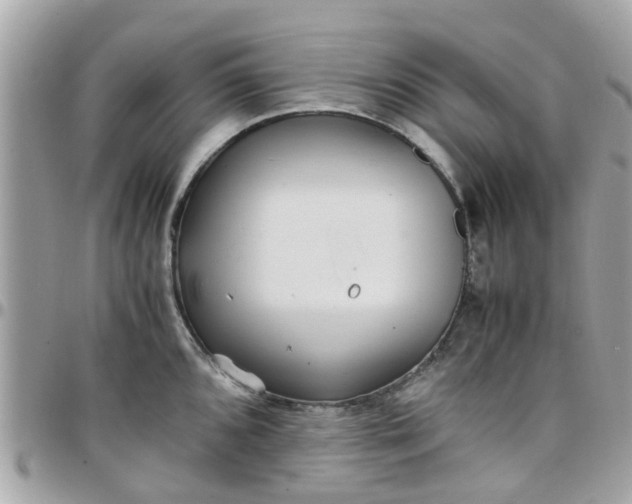 X0000097761096200803211709