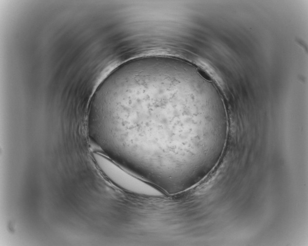 X0000097761097200803211709