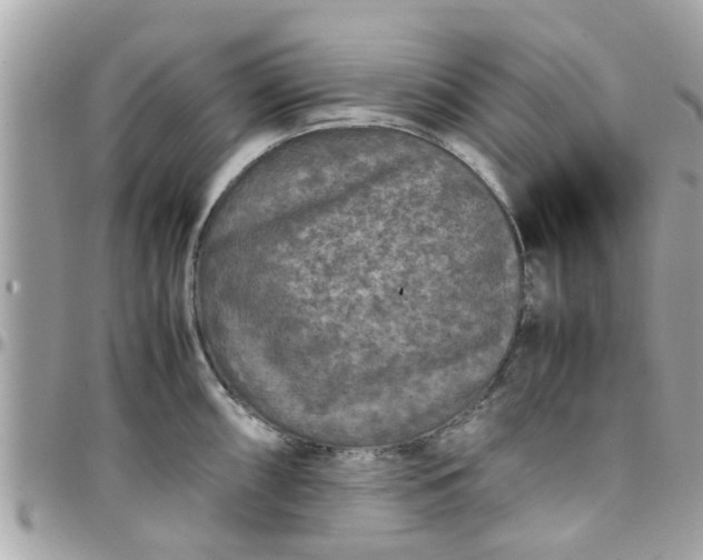 X0000097761098200803211709