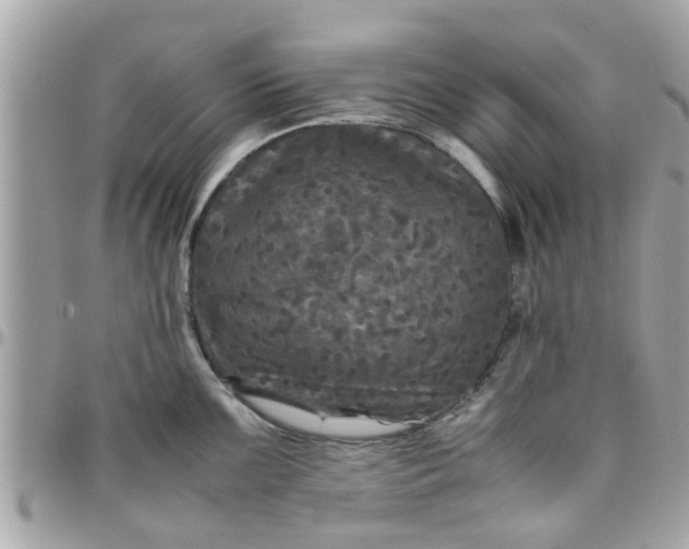 X0000097761099200803211709