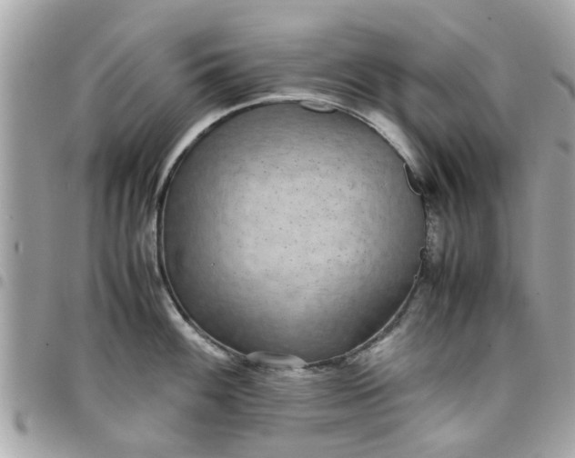 X0000097761100200803211709