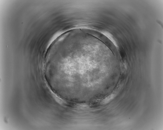 X0000097761101200803211709