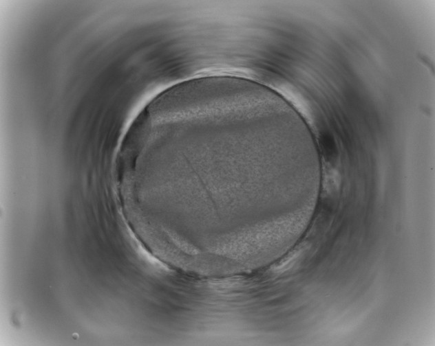 X0000097761102200803211709