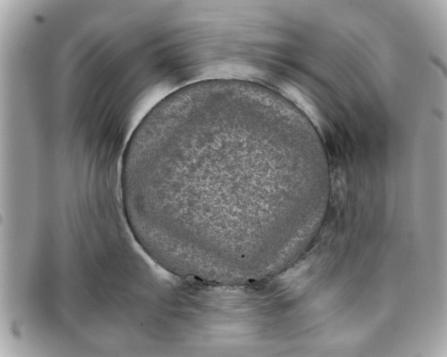 X0000097761103200803211709