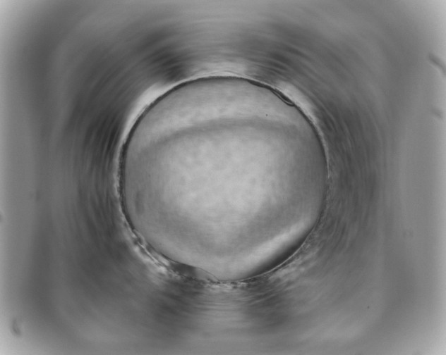 X0000097761104200803211709