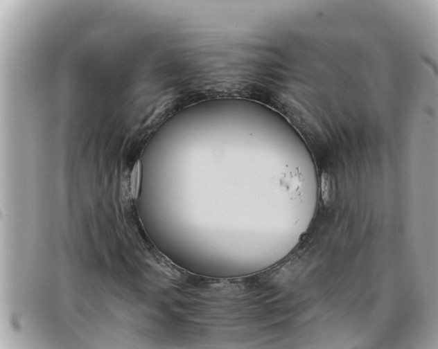 X0000097761107200803211708