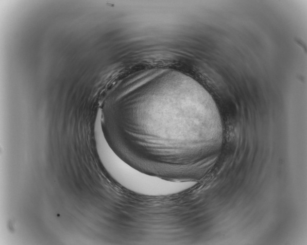 X0000097761108200803211708