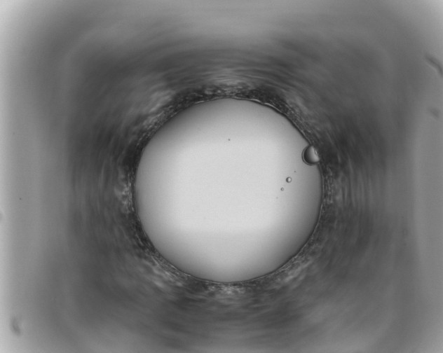 X0000097761109200803211708