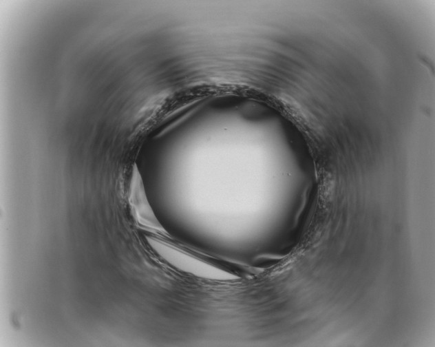 X0000097761110200803211708