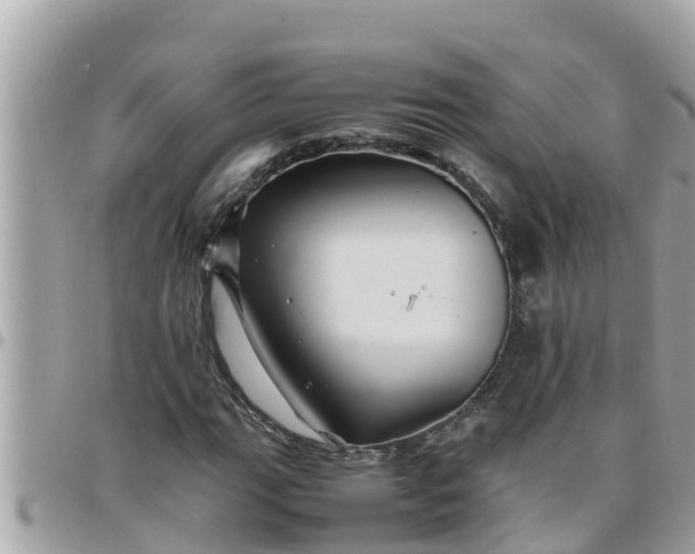 X0000097761111200803211708