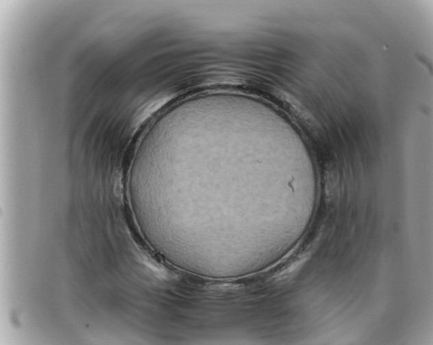 X0000097761113200803211708