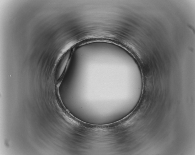 X0000097761114200803211708