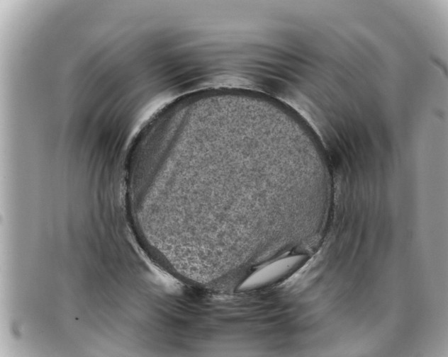 X0000097761115200803211708