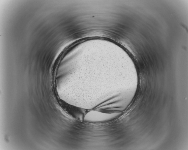 X0000097761116200803211708