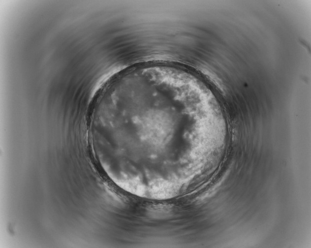 X0000097761117200803211708