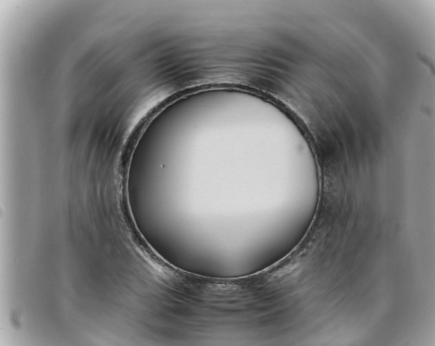 X0000097761119200803211708