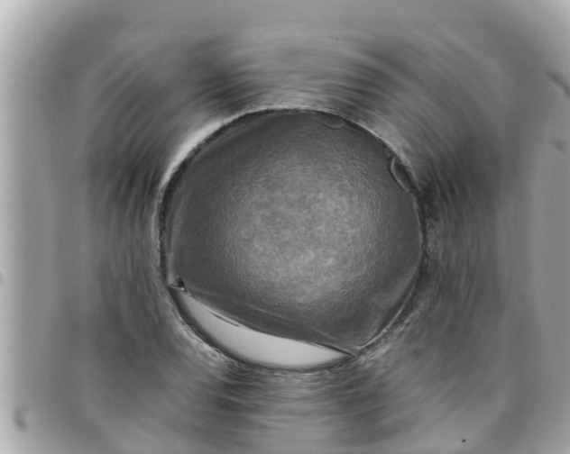 X0000097761120200803211708