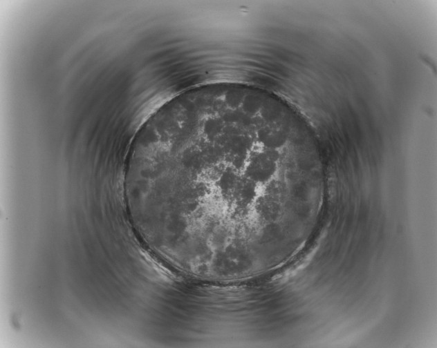 X0000097761121200803211708