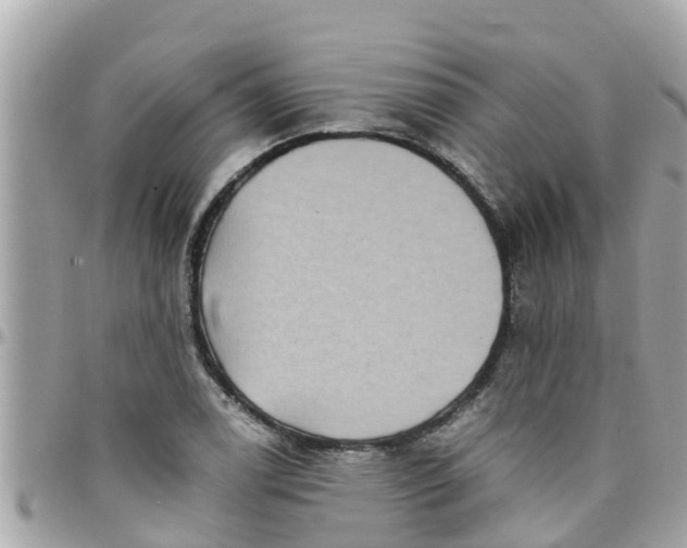 X0000097761122200803211708