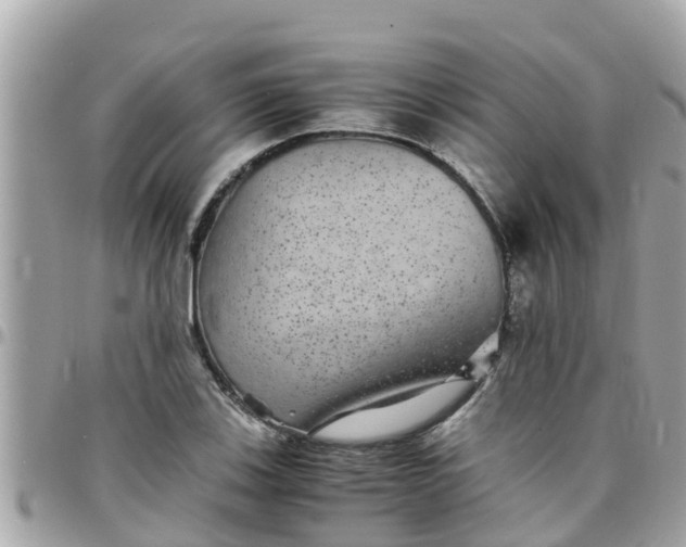 X0000097761123200803211708