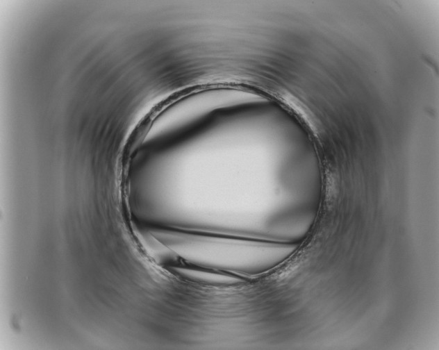 X0000097761124200803211708