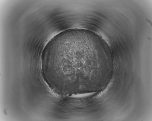 X0000097761125200803211708