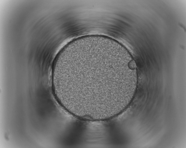 X0000097761126200803211708