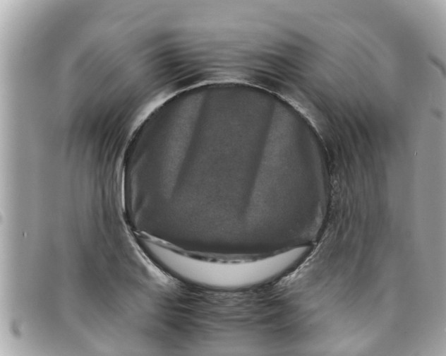 X0000097761127200803211708