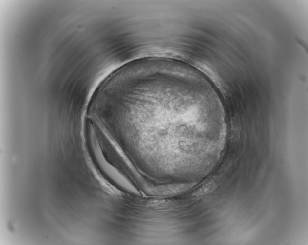 X0000097761128200803211708