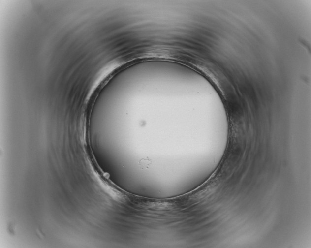 X0000097761131200803211708