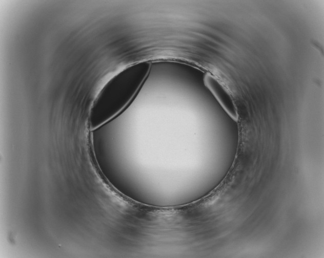 X0000097761134200803211708