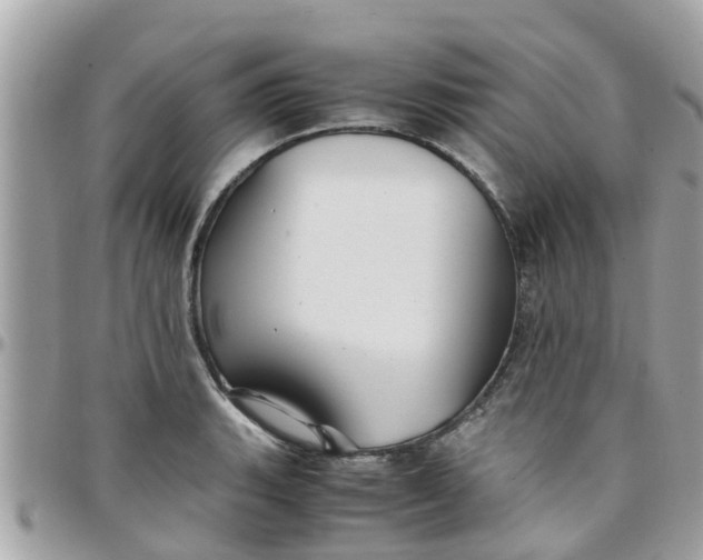 X0000097761135200803211708