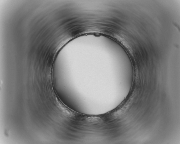 X0000097761137200803211708