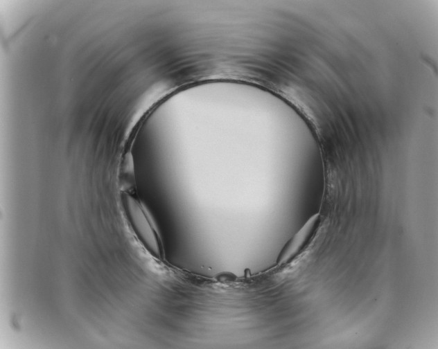 X0000097761138200803211708