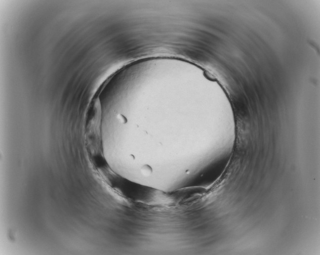 X0000097761142200803211708