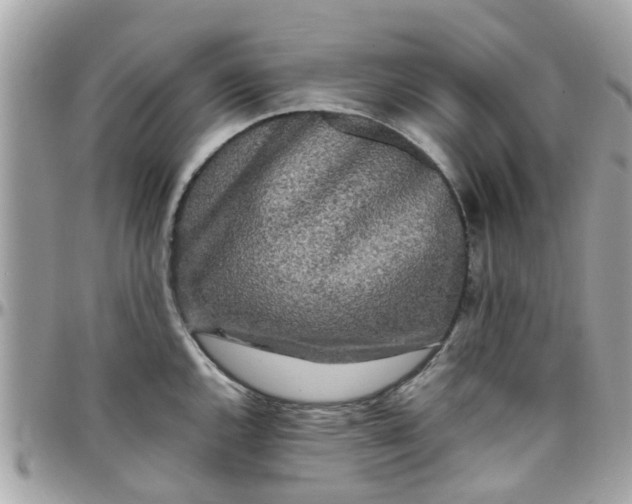 X0000097761144200803211708