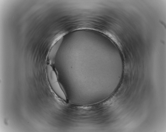 X0000097761145200803211708