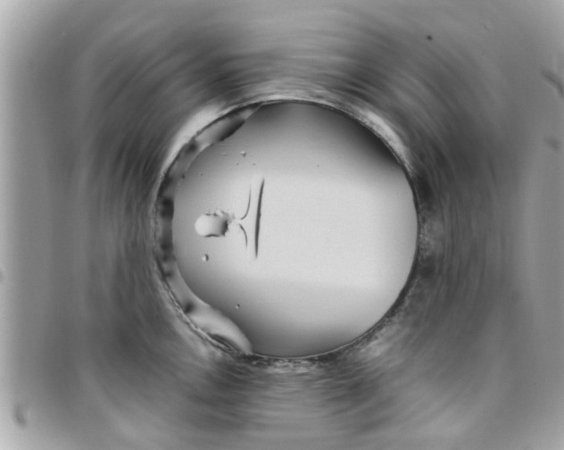 X0000097761146200803211708