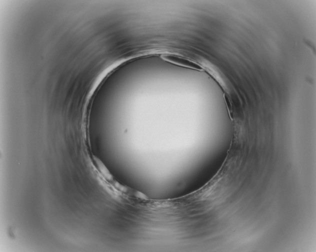 X0000097761148200803211708