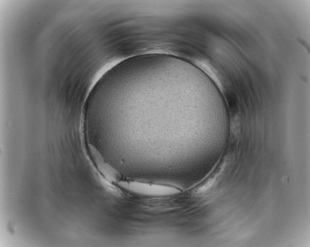 X0000097761149200803211709