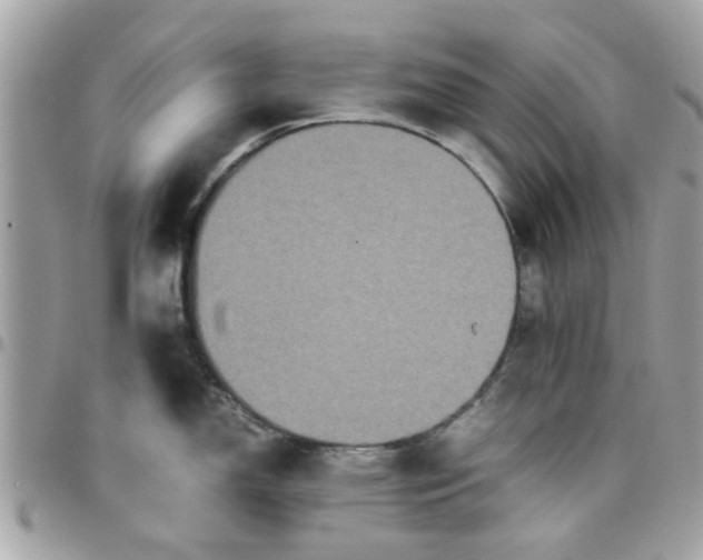 X0000097761150200803211709