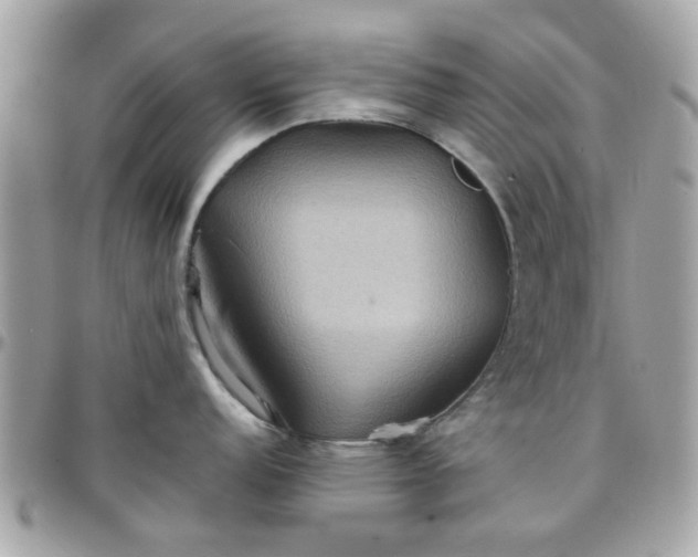 X0000097761152200803211709