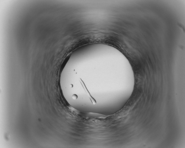 X0000097761153200803211708