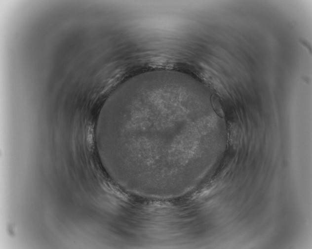 X0000097761154200803211708