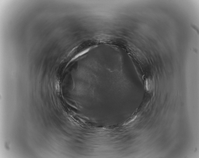 X0000097761155200803211708