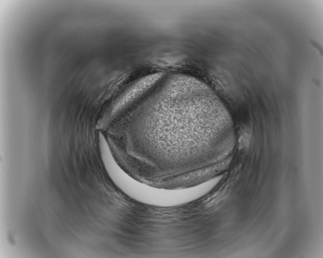 X0000097761156200803211708